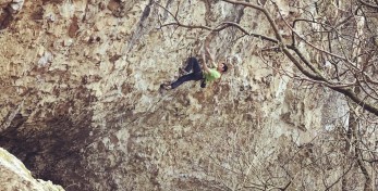 Miha Hribar Missing link