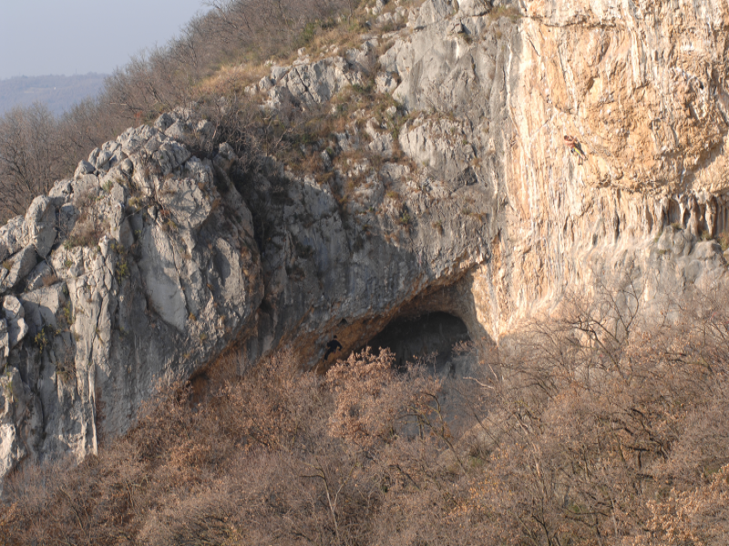 Mišja peč Tedis cave
